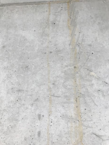 Rauli pornographic model pics