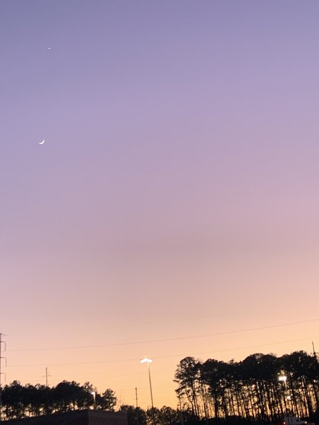 Roxanne Trixxx star pics