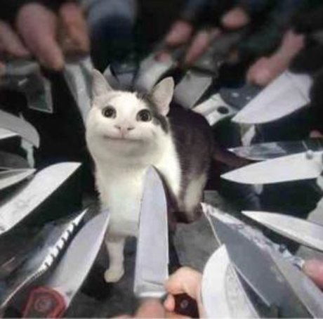 RosieTeet best actress image