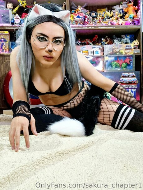 Waifu Karen Sakura free model images