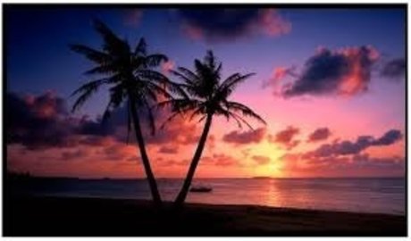 SaftigerDaddy best actress gallery