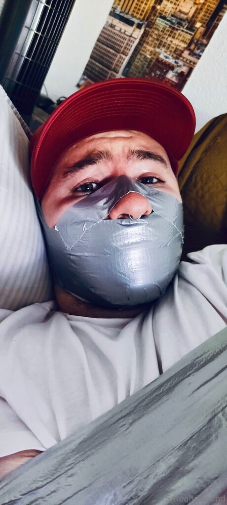 Safe and Bound perfect model archive