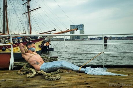 Safe and Bound high quality star photos