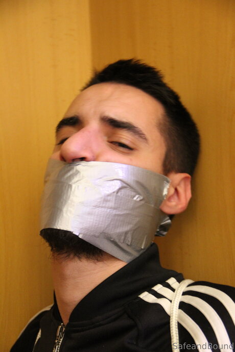 Safe and Bound model top photo