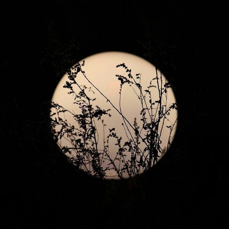 Chevy Douche sex pornstar photos