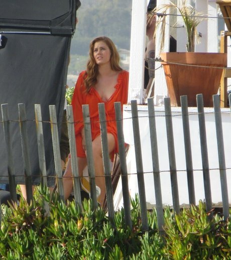 Amy Adams pretty star galleries