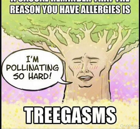 onlyora pornstar perfect archive