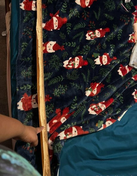 bigbellyjudy porn star pictures