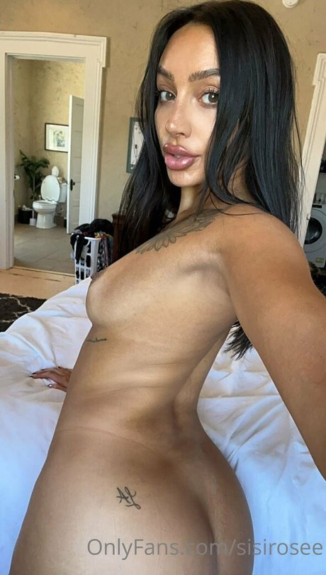 sisirosee star art image