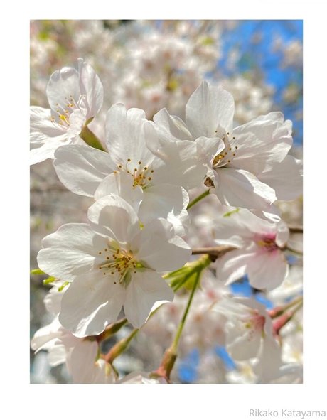 anal gape onlyfans sexy nudes image