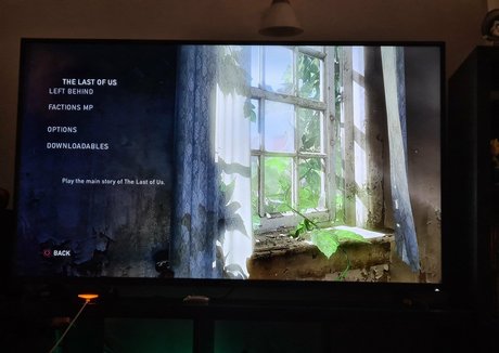 queenrainifree Profile photo