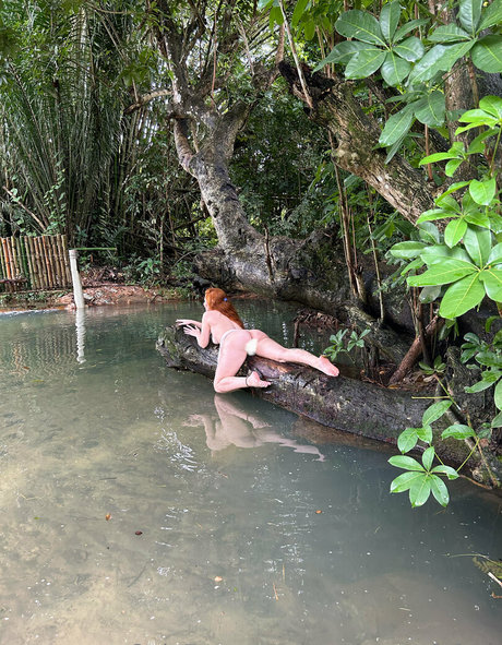 mysirenaofcfree pornographic model archive