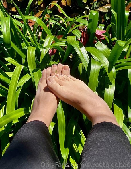 sweetbigobae best pornstar pics