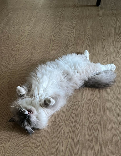 hinachan01 model nudes gallery