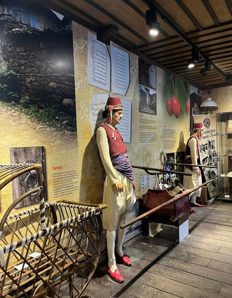 mervedamla nude star pics