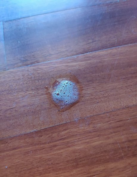 daddemaster best pornstar gallery