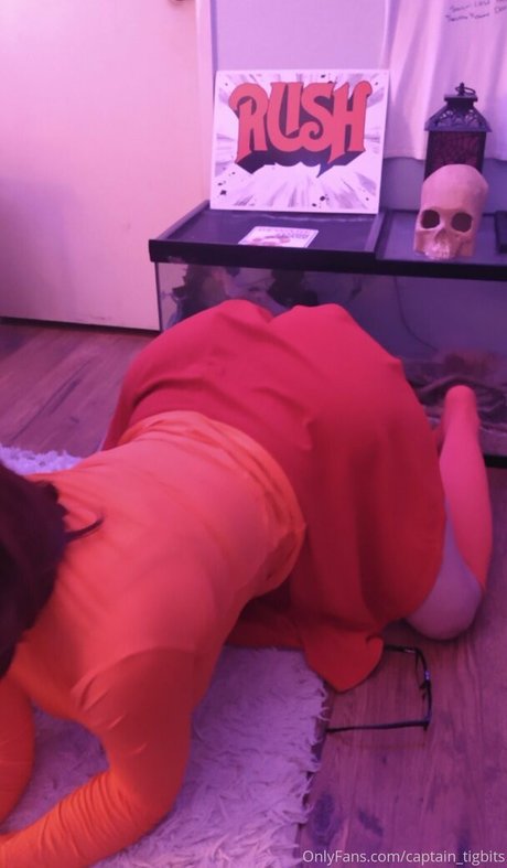 Captain TigBits perfect pornstar pics