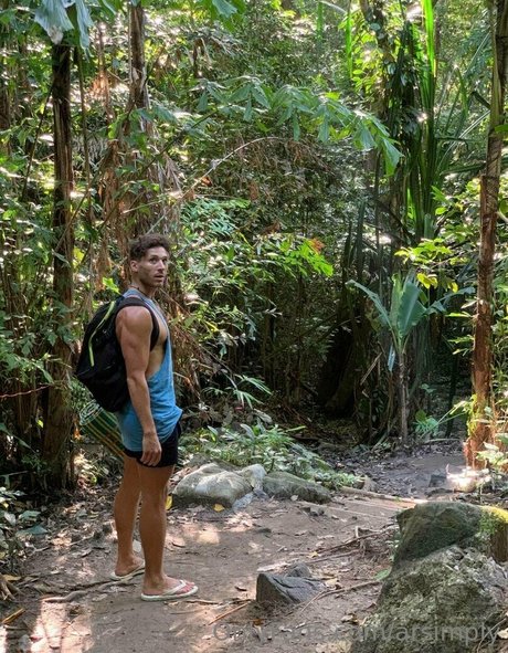 arsimply beautiful star picture