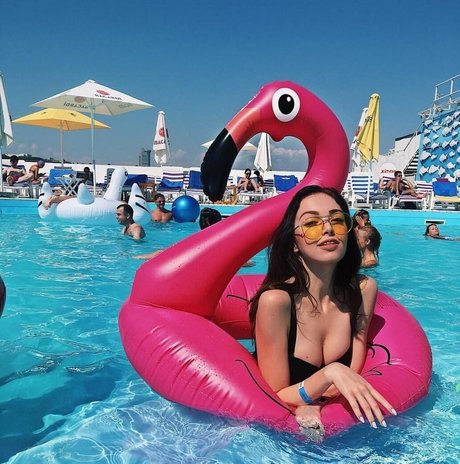 by owl best star pictures