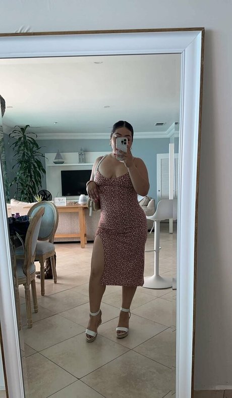 TinyDulce nice model gallery