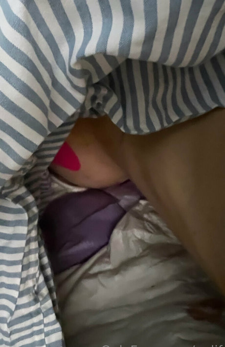 NOLIF pornstar free img