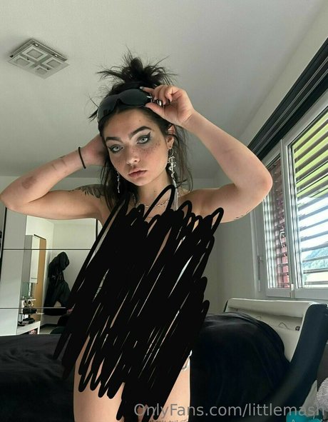 littlemash adult star picture