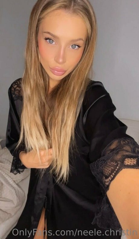 neele christin pornstar art picture