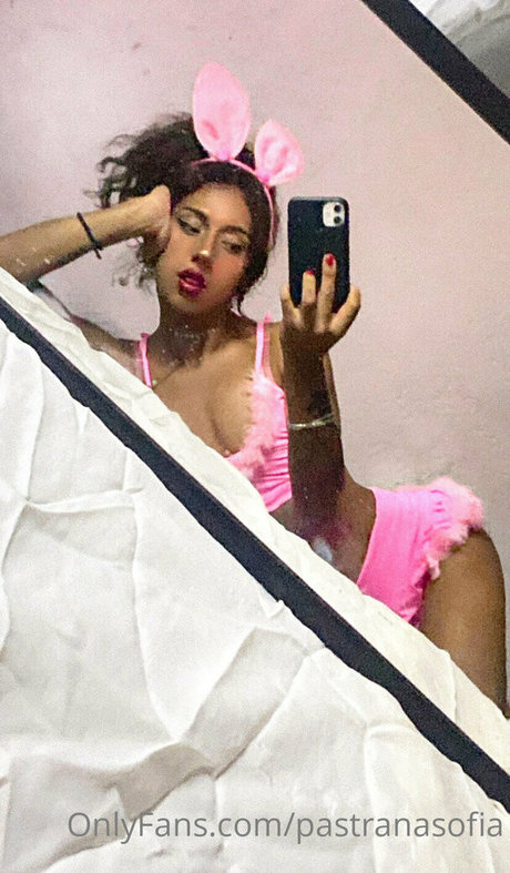 anasofropa top star galleries