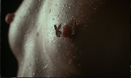 AsiaLily star perfect images