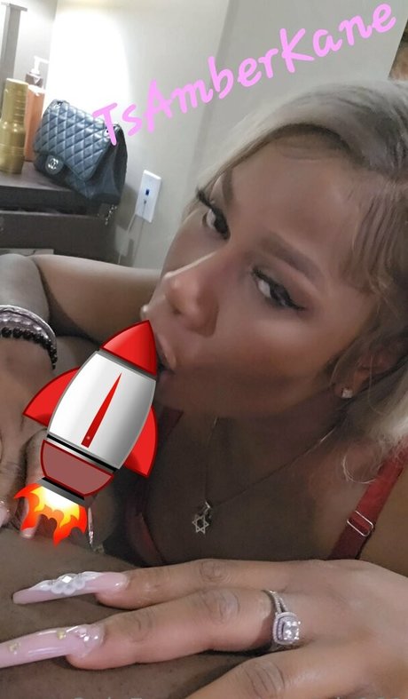 models101 star top picture