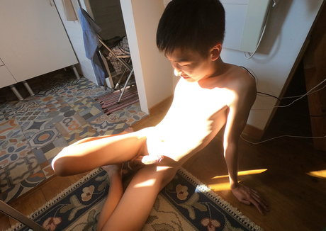 stallion bunny pornstar best img