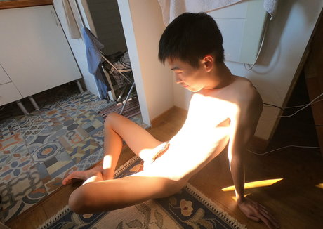 stallion bunny model top img