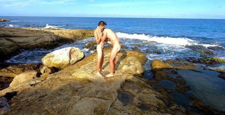 stallion bunny nice actress archive