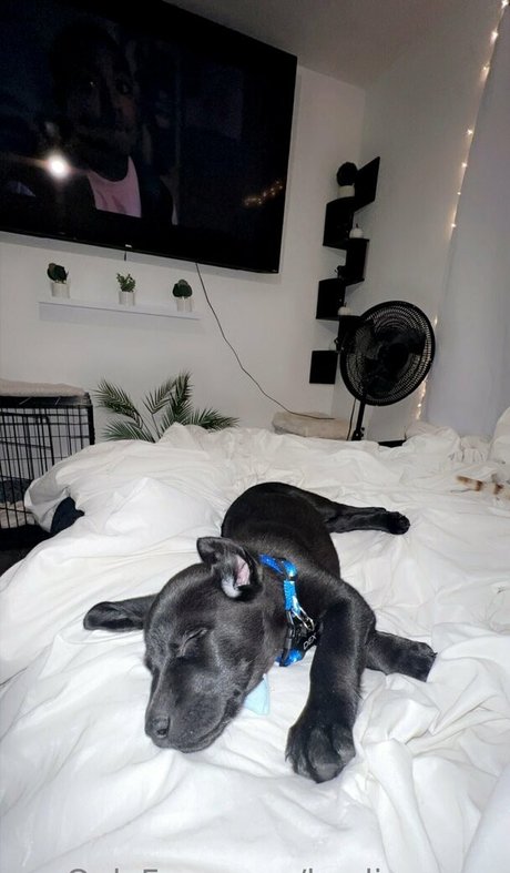 kaylinwrenn star sex img