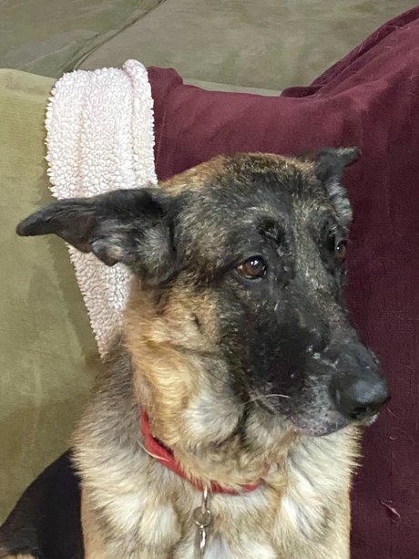 Sassy Jassy star naked img