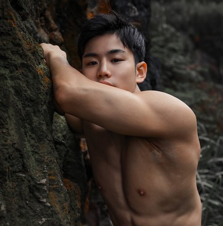 Sassa model top gallery