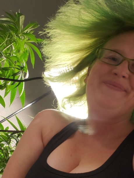 Sapphire Nicci pornstar free photo