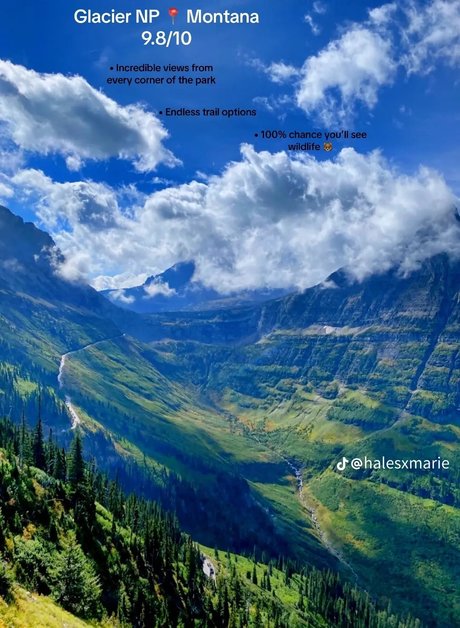 Sarsar1123 star top archive