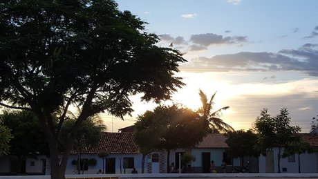 Israelgigolo perfect star pics