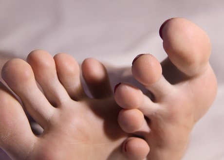 Tallone d Achille high quality star archive