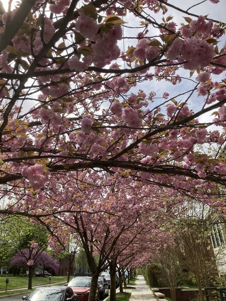 Riley Leigh top star gallery