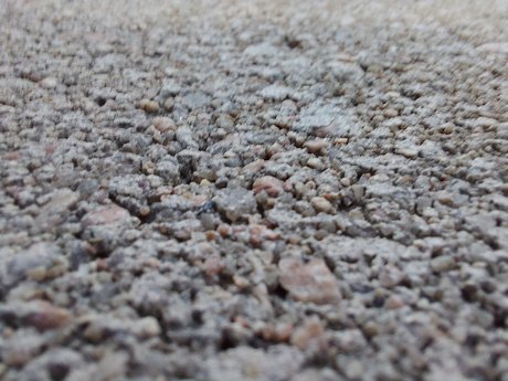 STigeris pornstar xxx img