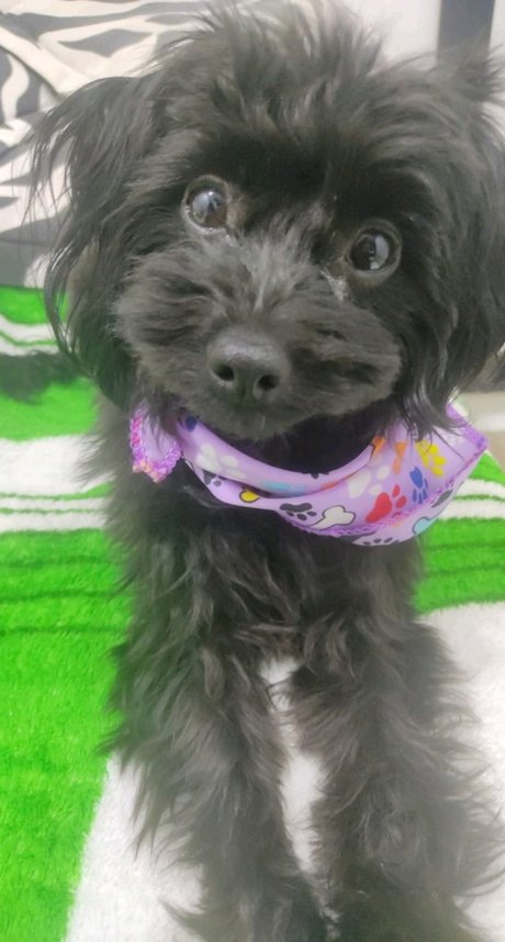 Scarlett hansen model best images