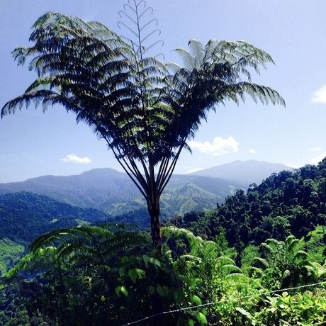 skinny babe onlyfans porn picture