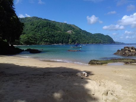 _mpress avage pornstar perfect pics