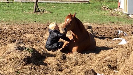 Caprice Capone hd star archive