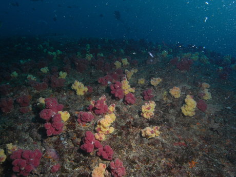 boots onlyfans hot galleries