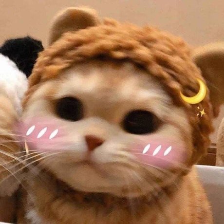 u151486669 pornographic model gallery