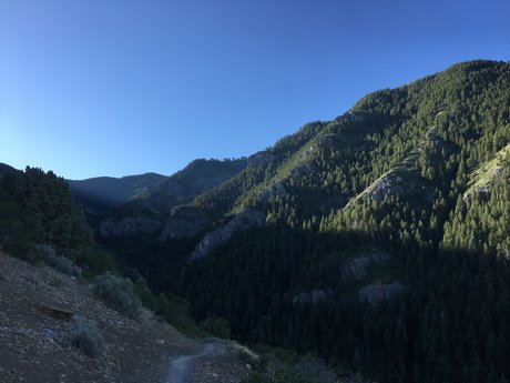 Jason Gamble pornstar free pictures