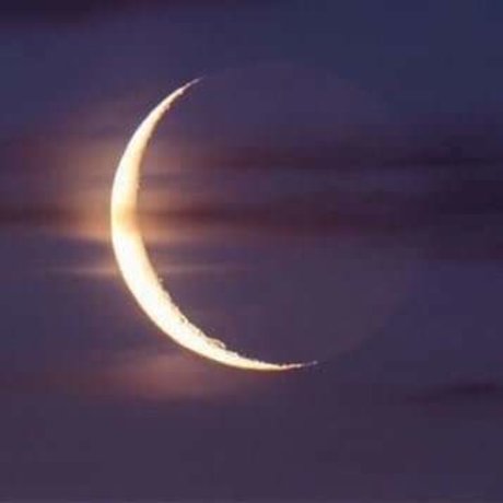 Orion model adult pic